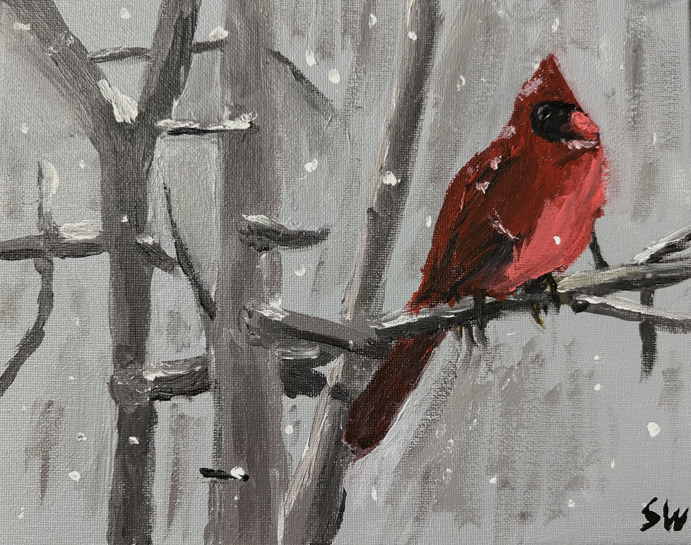 Thin Redbird</font></b><br>8x10</font></b><br>02.03.2024